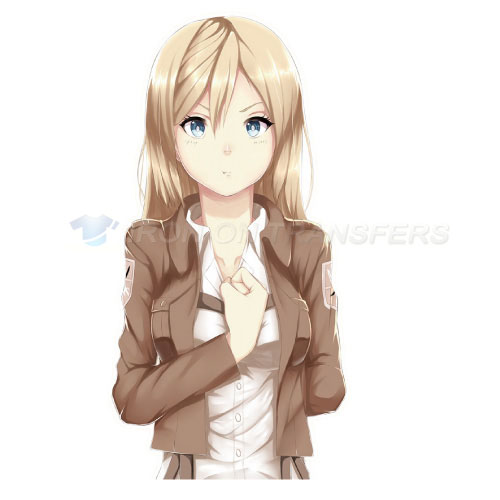 Attack on titan Iron-on Stickers (Heat Transfers)NO.507